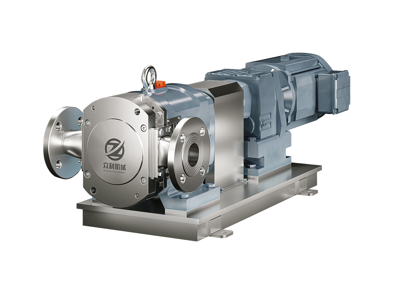 Special type rotor pump