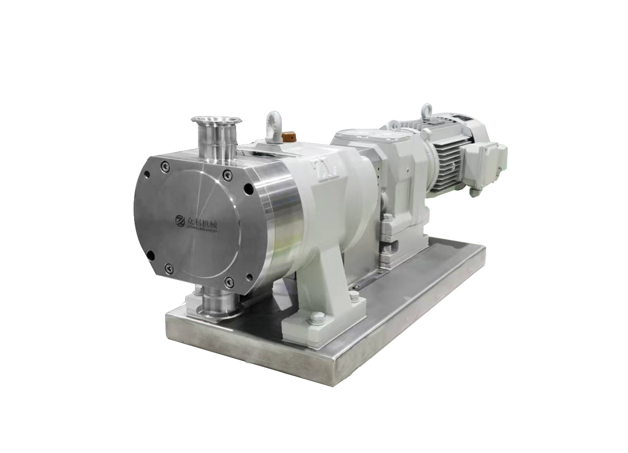 Top/Bottom Feed Rotor Pump